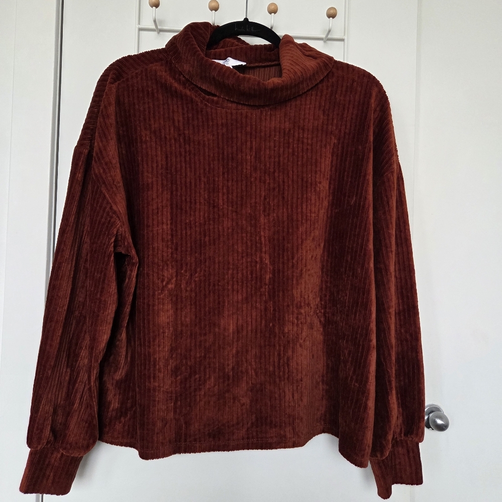 Addition Elle Velour Turtle Neck - 1X